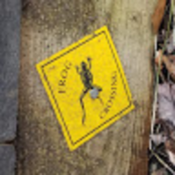 Meet your Posher, Big - Picture 1 of 1